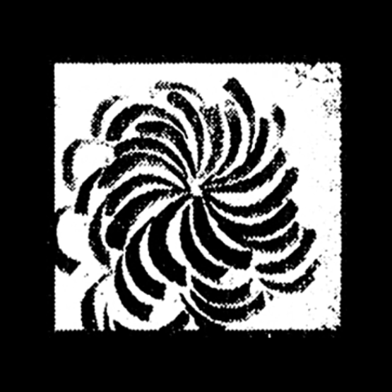 RELINQUISH CONTROL BOX - DARKNESS (higher extract, darker, danker) [6pk]