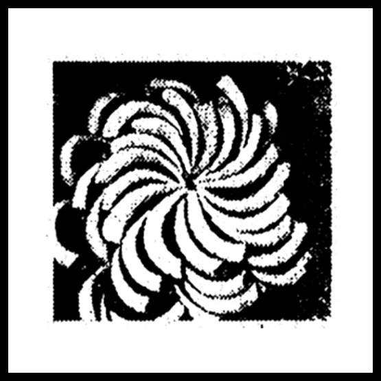 RELINQUISH CONTROL BOX - LIGHTNESS (low extract, light, some bubbles) [6pk]