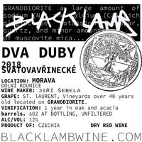 DVA DUBY - 2018 Svätovavrinecké (St. Laurent)