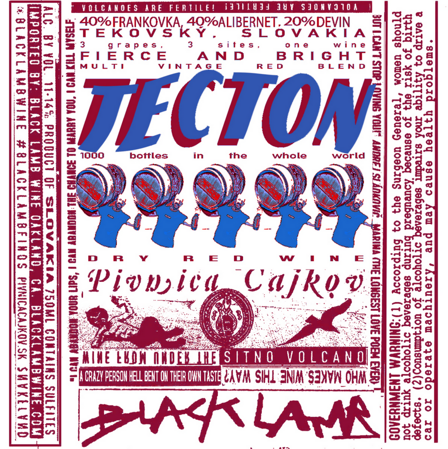 PIVNICA CAJKOV - N/V Tecton (Alibernet, Frankovka, Devín)